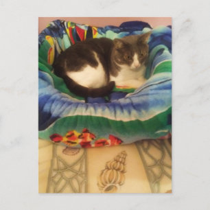 Carte Postale Princesse Une Petite Ragaillardise Méridionale Kit