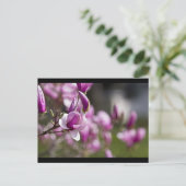 Carte Postale Princeton Purple Tree Flower (Debout devant)