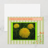 Carte Postale Printemps (Devant / Derrière)