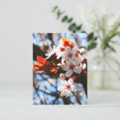 Carte Postale Printemps (Debout devant)