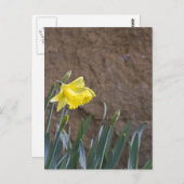 Carte Postale Printemps ! (Devant / Derrière)