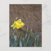 Carte Postale Printemps ! (Devant)