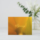 Carte Postale Printemps (Debout devant)