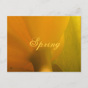 Carte Postale Printemps