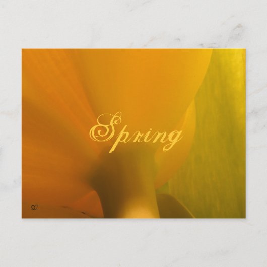 Carte Postale Printemps (Devant)