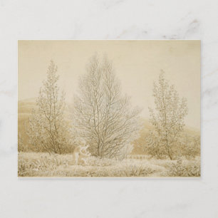 Carte Postale Printemps