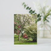 Carte Postale Printemps (Debout devant)