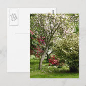 Carte Postale Printemps (Devant / Derrière)