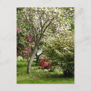 Carte Postale Printemps