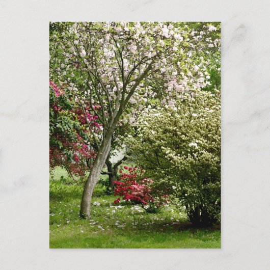 Carte Postale Printemps (Devant)