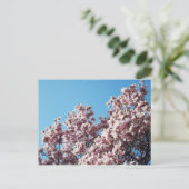 Carte Postale printemps (Debout devant)
