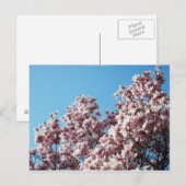 Carte Postale printemps (Devant / Derrière)