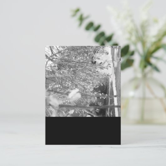 Carte Postale Printemps (Debout devant)