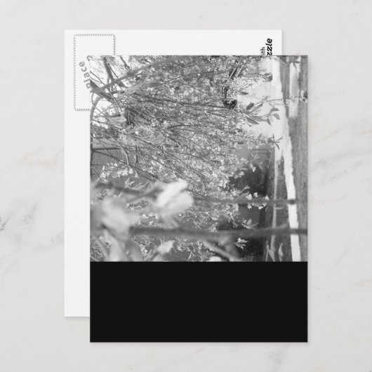 Carte Postale Printemps (Devant / Derrière)