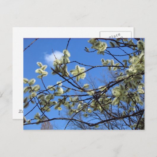 Carte Postale Printemps (Devant / Derrière)