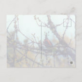 Carte Postale Printemps (Dos)