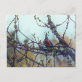 Carte Postale Printemps (Devant)