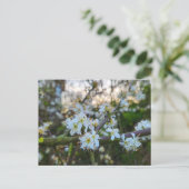 Carte Postale Printemps (Debout devant)
