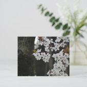 Carte Postale Printemps (Debout devant)