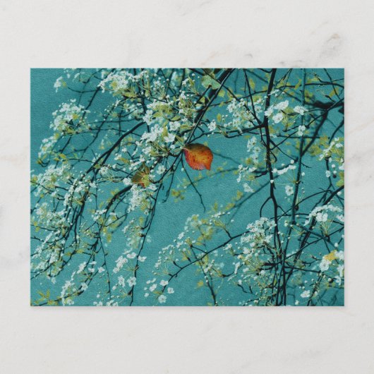 Carte Postale Printemps (Devant)