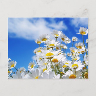 Carte Postale Printemps