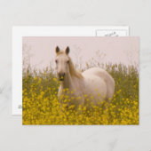 Carte Postale Printemps (Devant / Derrière)