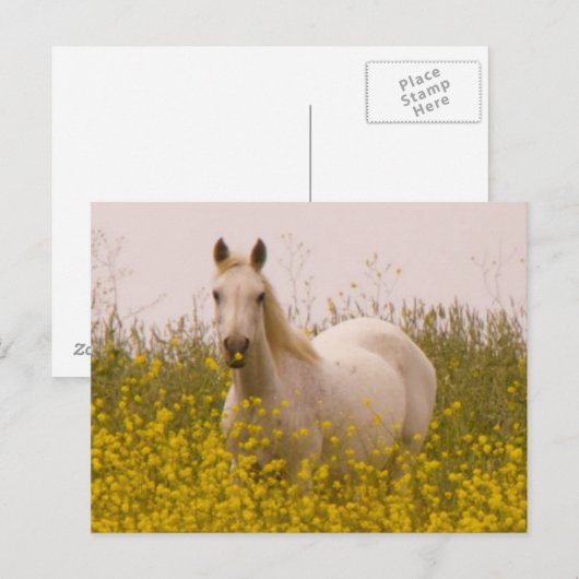 Carte Postale Printemps (Devant / Derrière)