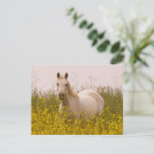 Carte Postale Printemps (Debout devant)