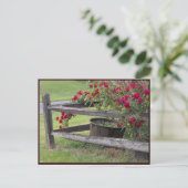 Carte Postale ~ Printemps 41 ~ (Debout devant)