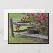 Carte Postale ~ Printemps 41 ~ (Devant / Derrière)