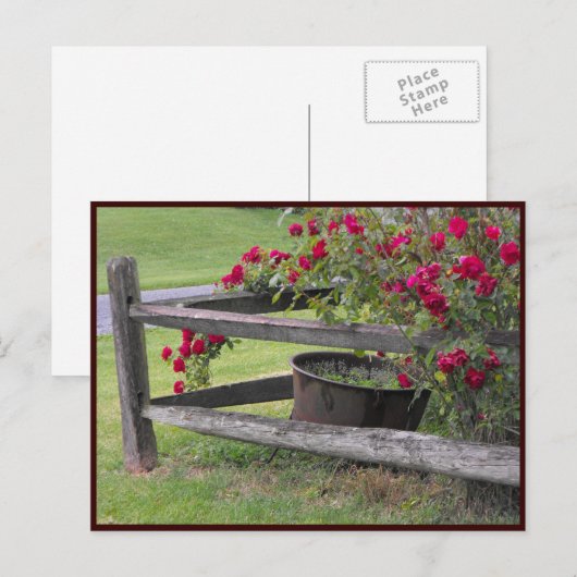 Carte Postale ~ Printemps 41 ~ (Devant / Derrière)