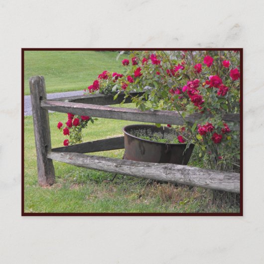 Carte Postale ~ Printemps 41 ~ (Devant)