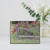 Carte Postale ~ Printemps 42 ~ (Debout devant)