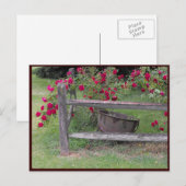 Carte Postale ~ Printemps 42 ~ (Devant / Derrière)