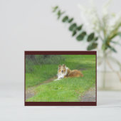 Carte Postale ~ Printemps 46 ~ (Debout devant)