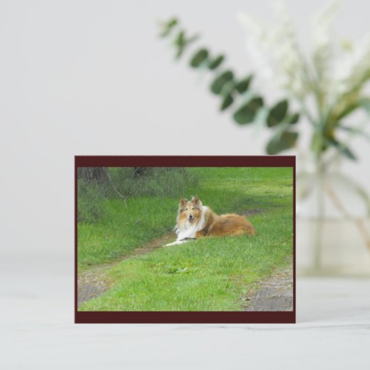 Carte Postale ~ Printemps 46 ~ (Debout devant)