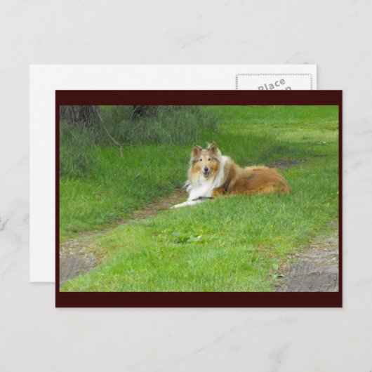 Carte Postale ~ Printemps 46 ~ (Devant / Derrière)