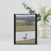 Carte Postale ~ Printemps 65 ~ (Debout devant)