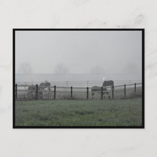 Carte Postale ~ Printemps 79 ~ (Devant)