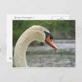 Carte Postale Printemps à Framingham 2 (Devant / Derrière)