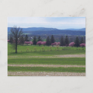 Carte Postale Printemps À Gettysburg