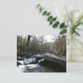 Carte Postale Printemps à la rivière Little Pigeon (Debout devant)