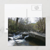 Carte Postale Printemps à la rivière Little Pigeon (Devant / Derrière)