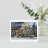Carte Postale Printemps à Tokyo (Debout devant)