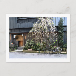 Carte Postale Printemps à Tokyo