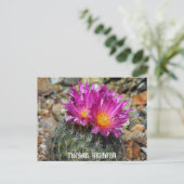 Carte Postale Printemps À Tucson (Debout devant)