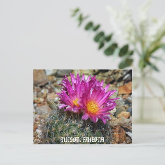 Carte Postale Printemps À Tucson (Debout devant)