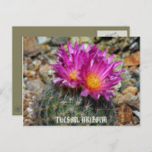 Carte Postale Printemps À Tucson (Devant / Derrière)