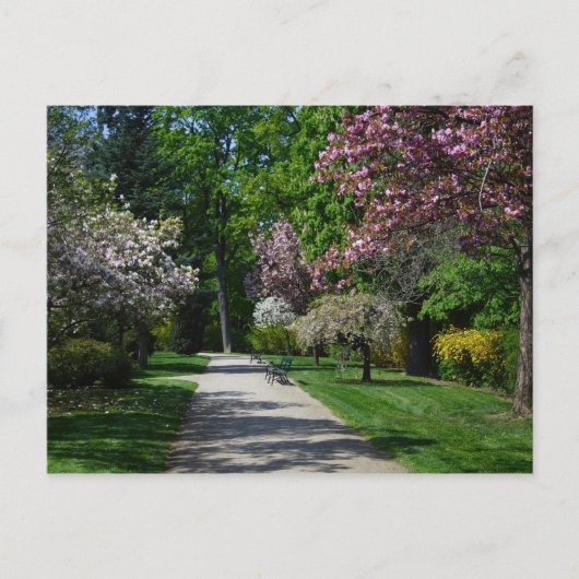 Carte Postale Printemps À Vienne Autriche (Devant)