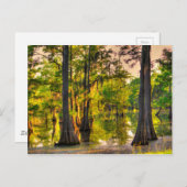 Carte Postale Printemps au Bayou (Devant / Derrière)